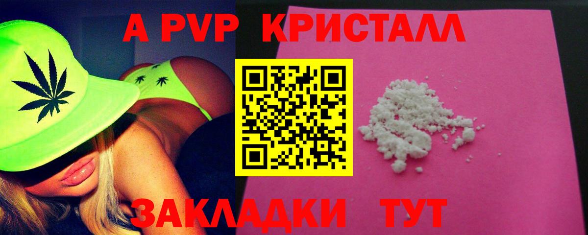Alfa_PVP СК КРИС Сочи